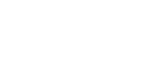 Center for Digital Government